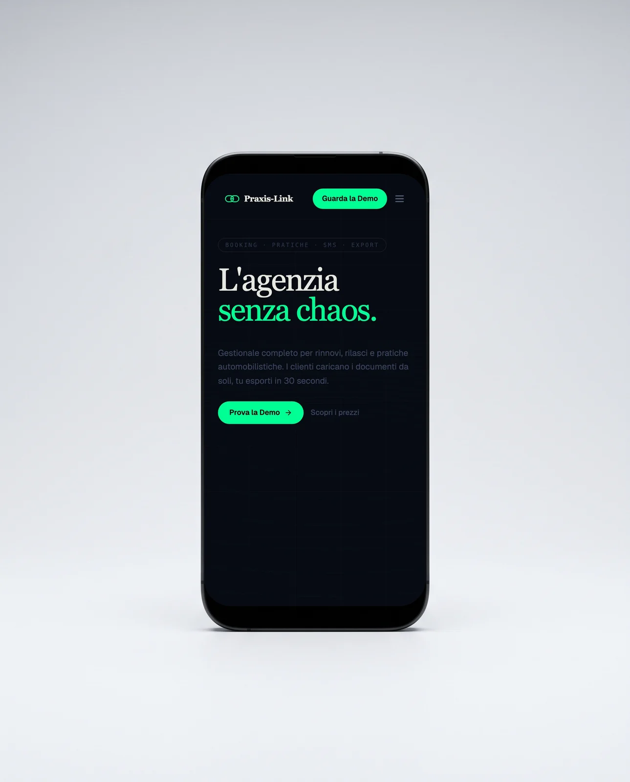 Praxis-Link — the site on an iPhone